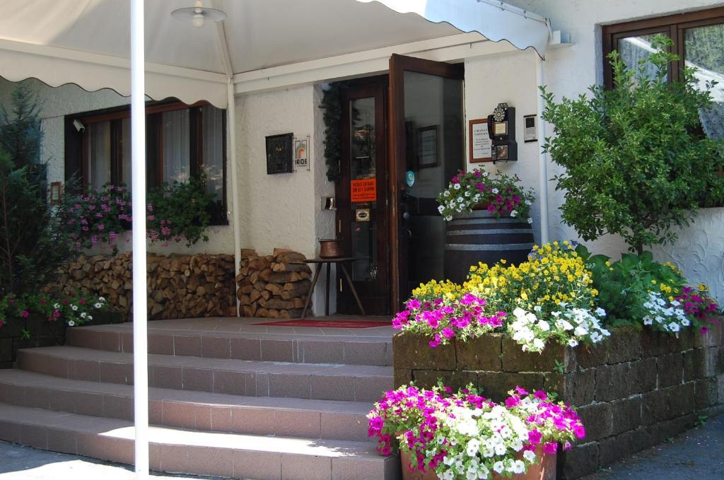 Chalet Fiocco Di Neve Pinzolo Ngoại thất bức ảnh